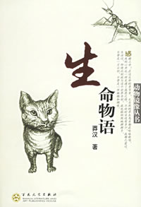 嘉峪关明江集团董事长